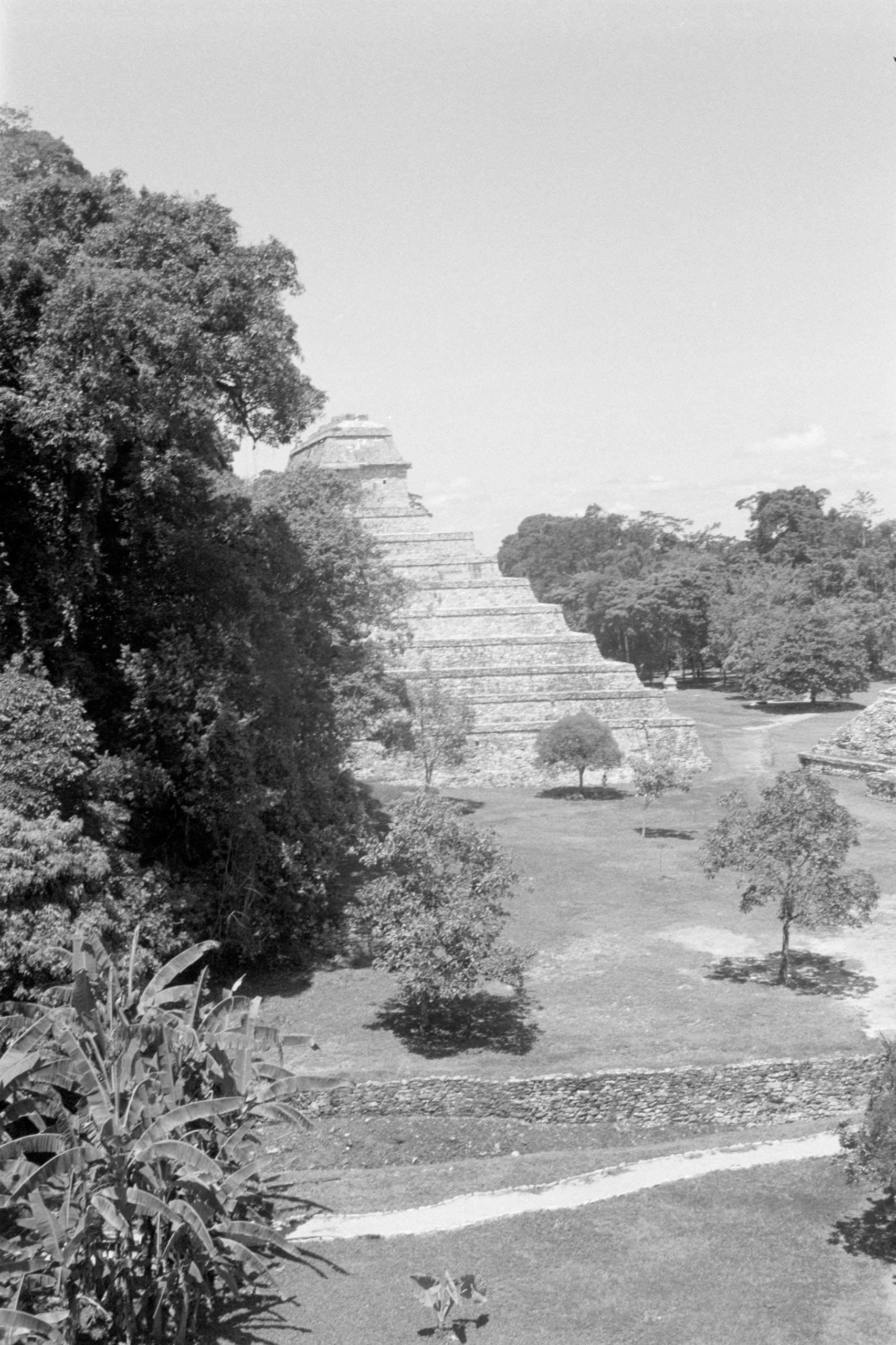 AHP FilmScan 240807 0654